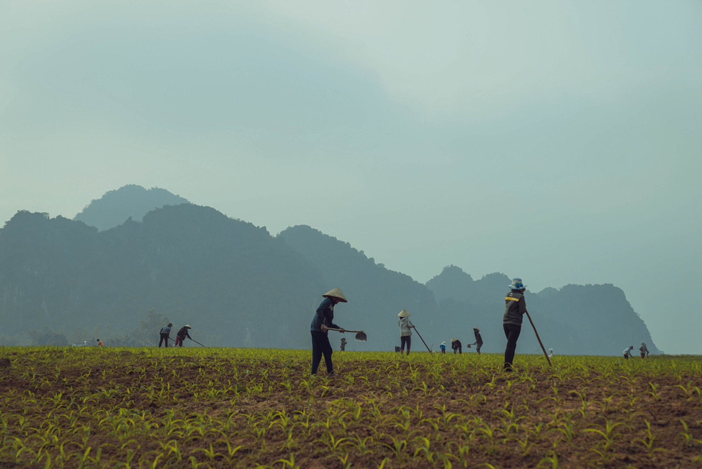 L&agrave;ng qu&ecirc; kh&ocirc;ng c&oacute; tệ nạn x&atilde; hội c&ugrave;ng cộng đồng người d&acirc;n th&acirc;n thiện, chất ph&aacute;c sống chan h&ograve;a với tự nhi&ecirc;n sẽ l&agrave; m&ocirc; h&igrave;nh du lịch cộng đồng bền vững - Ảnh: Ho&agrave;ng An